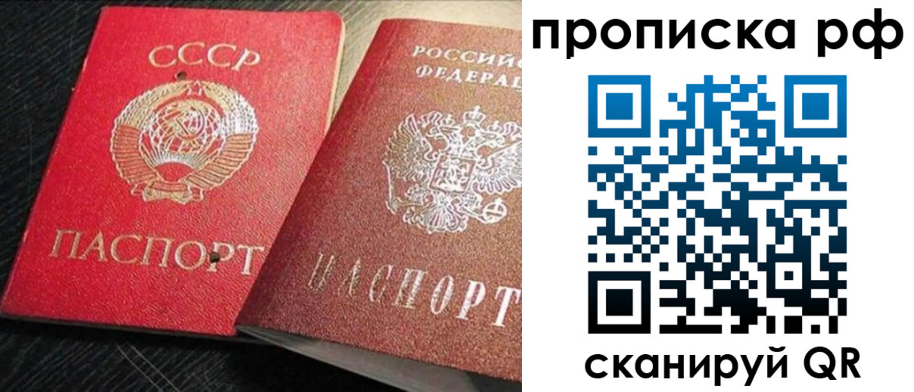 где прописаться в Ртищево